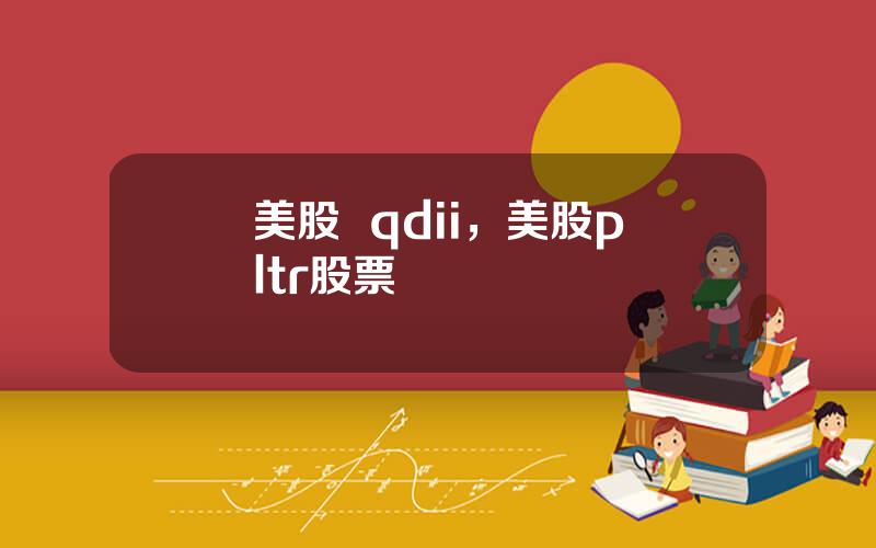 美股  qdii，美股pltr股票